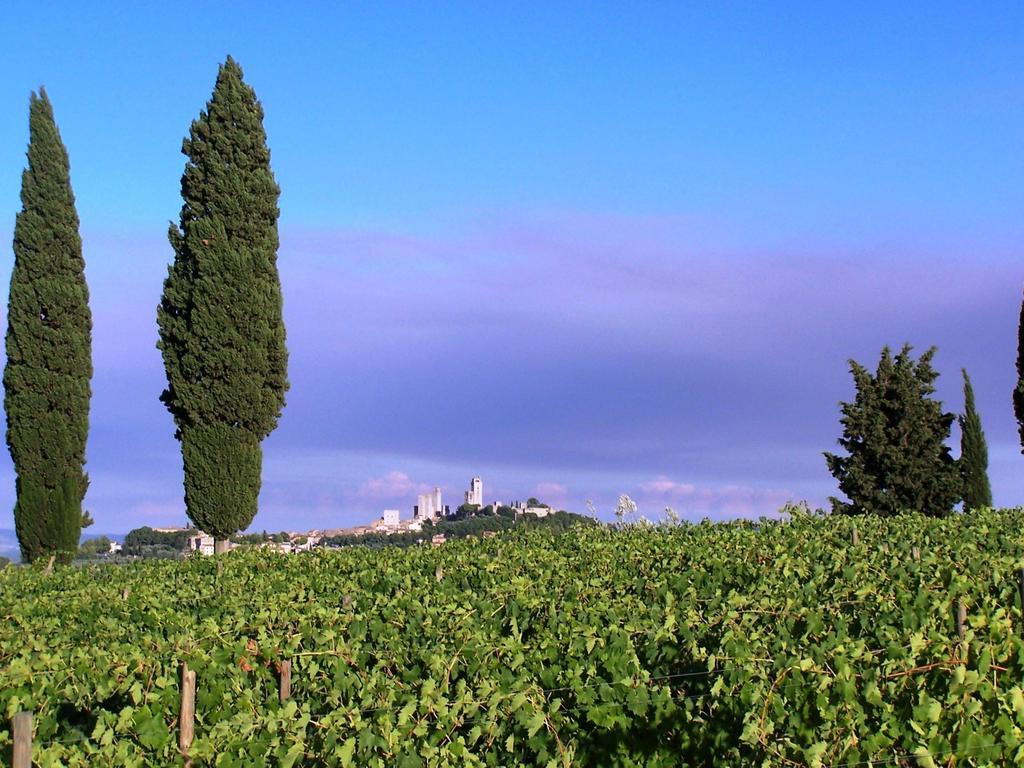 Poggetto Di Montese San Gimignano Quarto foto